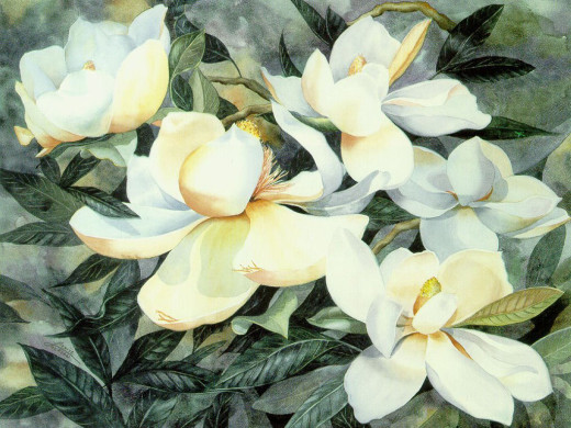 295884 (a): :1024x768